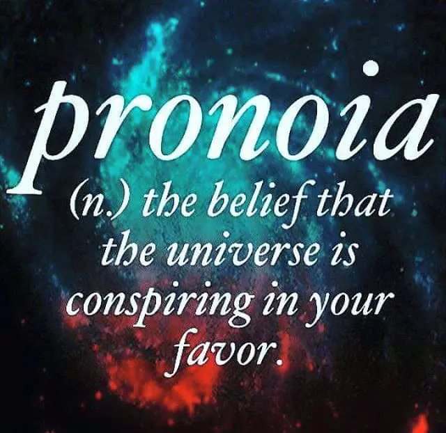 pronoia