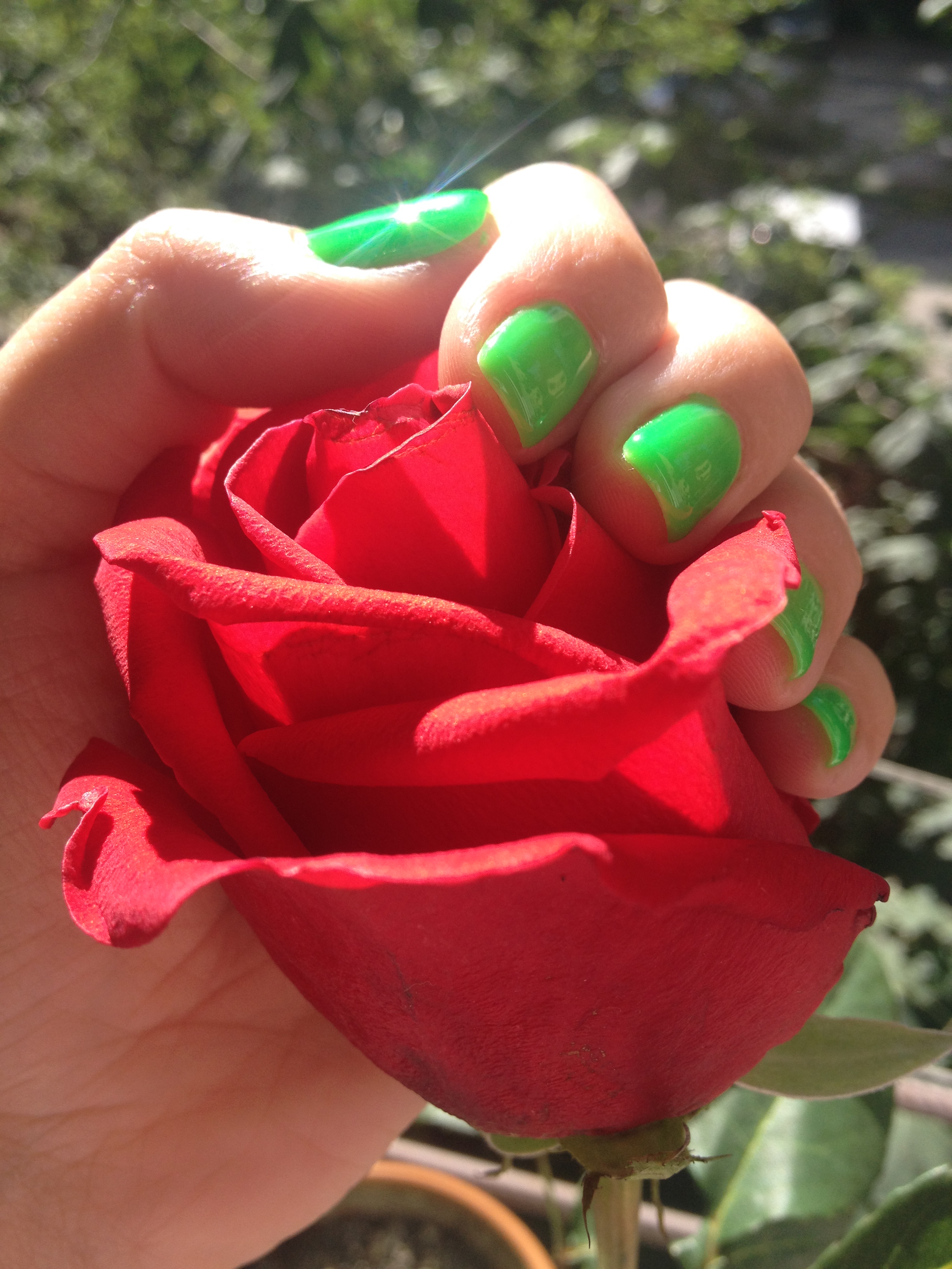 Red rose Green Nails (2)