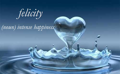 Felicity ~ positive word meaning