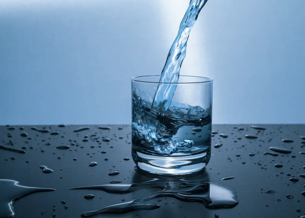 Drink a Glass of Water Before Each Meal