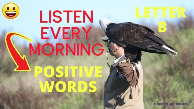 Positive words that start with b